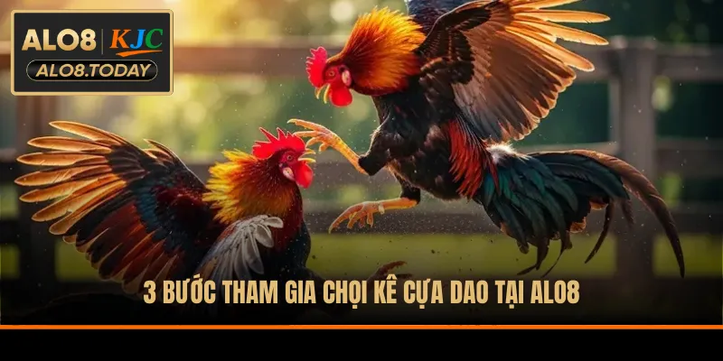3 bước tham gia chọi kê cựa dao tại ALO8
