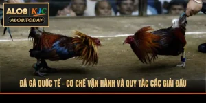 Đá gà quốc tế
