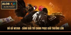 Đá gà WS168