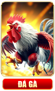 Đá gà ALO8