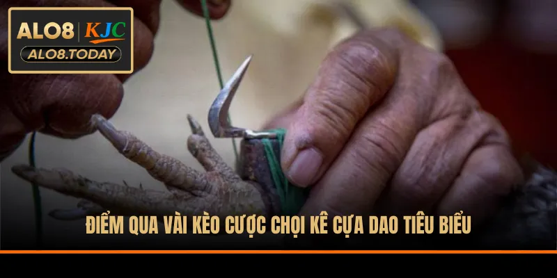 Điểm qua vài kèo cược chọi kê cựa dao tiêu biểu