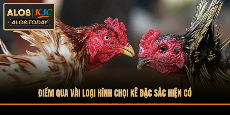 Điểm qua vài loại hình chọi kê đặc sắc hiện có