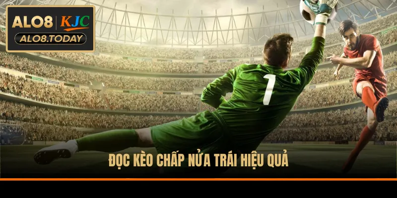 Đọc kèo chấp nửa trái hiệu quả