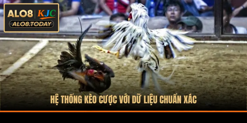 Hệ thống kèo cược với dữ liệu chuẩn xác