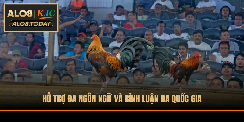 Hỗ trợ đa ngôn ngữ và bình luận đa quốc gia