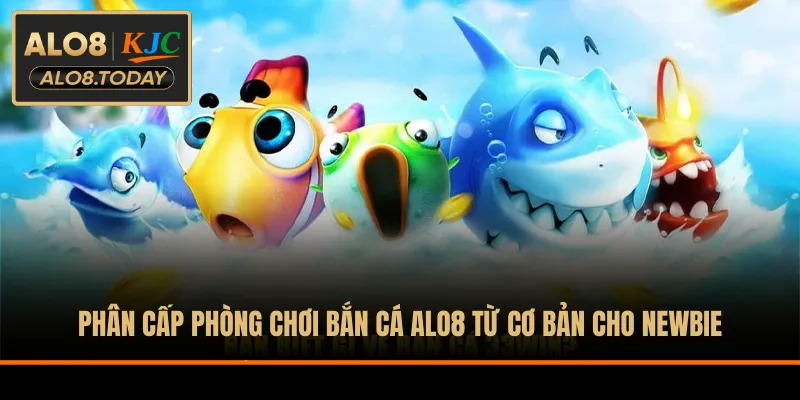 Phân cấp phòng chơi bắn cá ALO8 từ cơ bản cho newbie