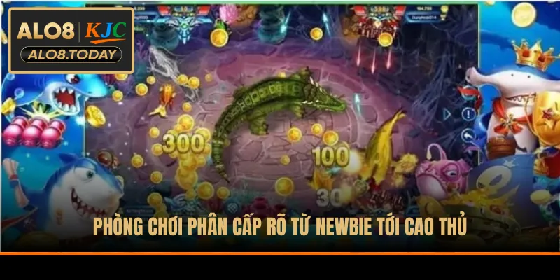 Phòng chơi phân cấp rõ từ newbie tới cao thủ