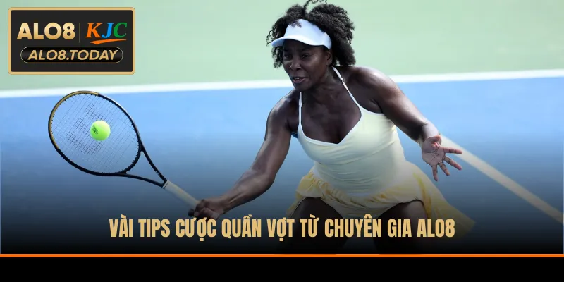 Vài tips cược quần vợt từ chuyên gia ALO8